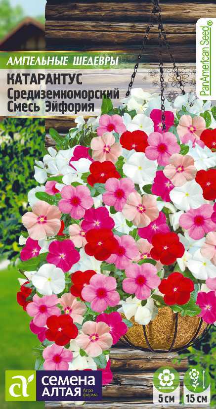 Катарантус смесь эйфория