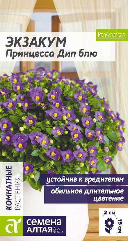 ekzakum