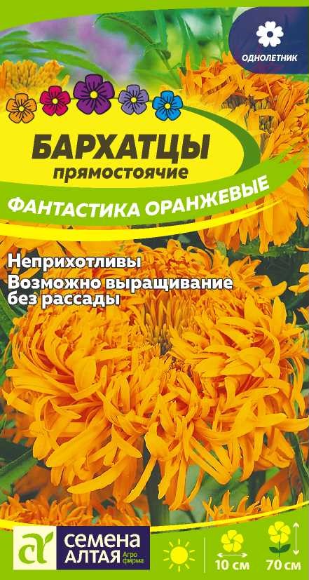 00-00013511