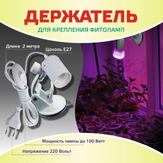 Держатель