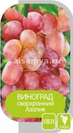 Азалия2