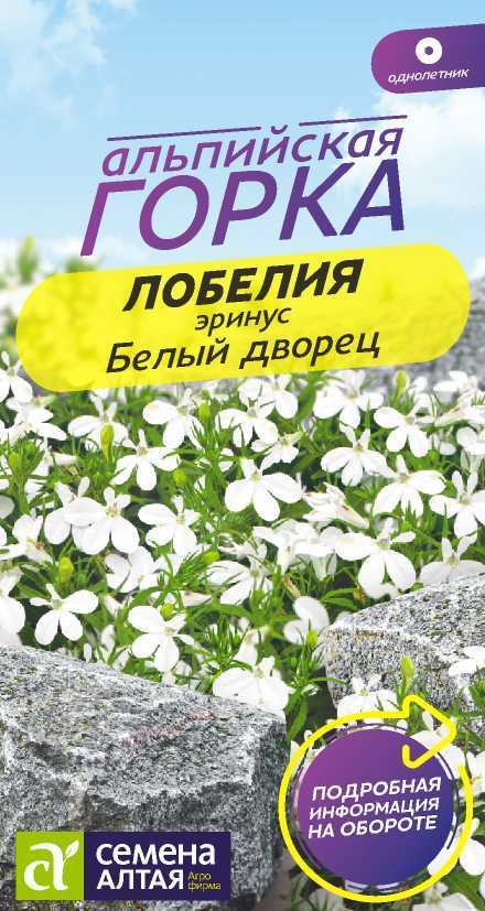 Лобелия Эринус Белый Дворец