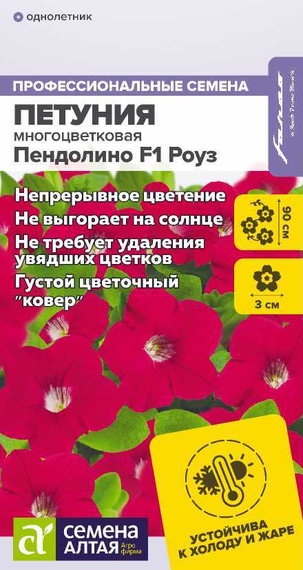 Петуния пендолино роуз