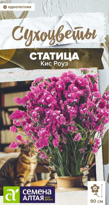 Статица Кис роуз