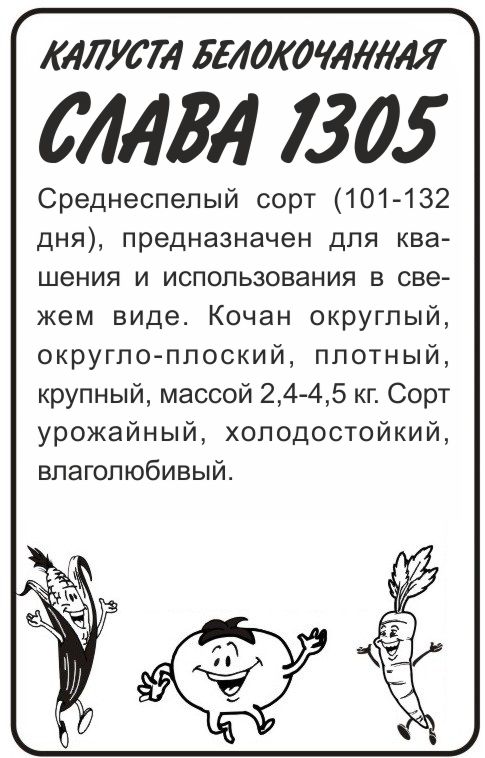 Слава 1305 бп