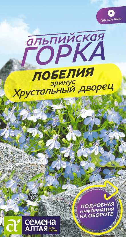 Лобелия Эринус