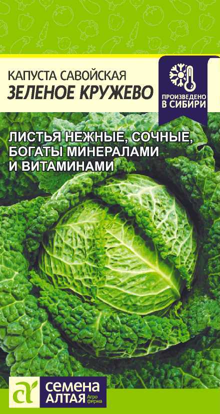 00-00016163