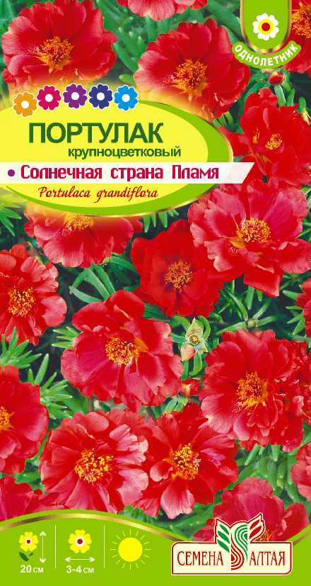 Солнечная страна пламя