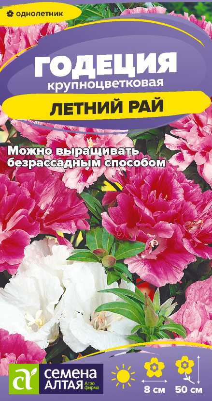 Годеция Летний рай