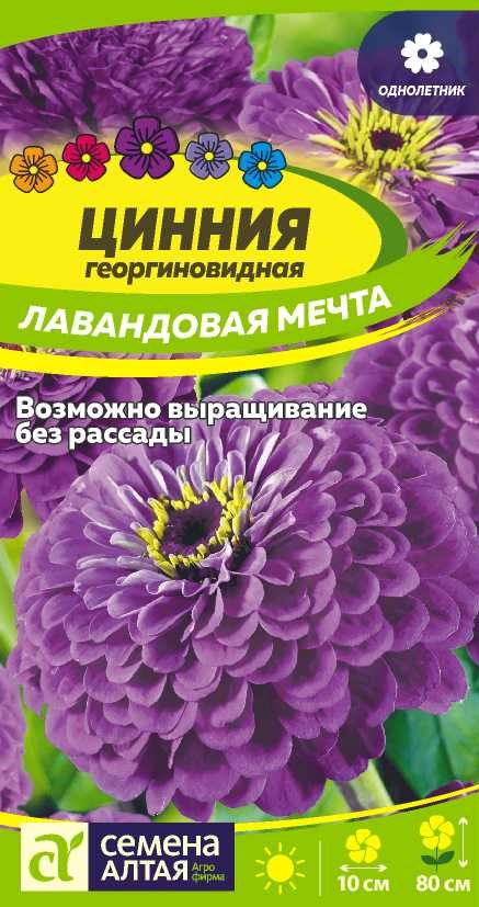 Цинния Лавандовая мечта