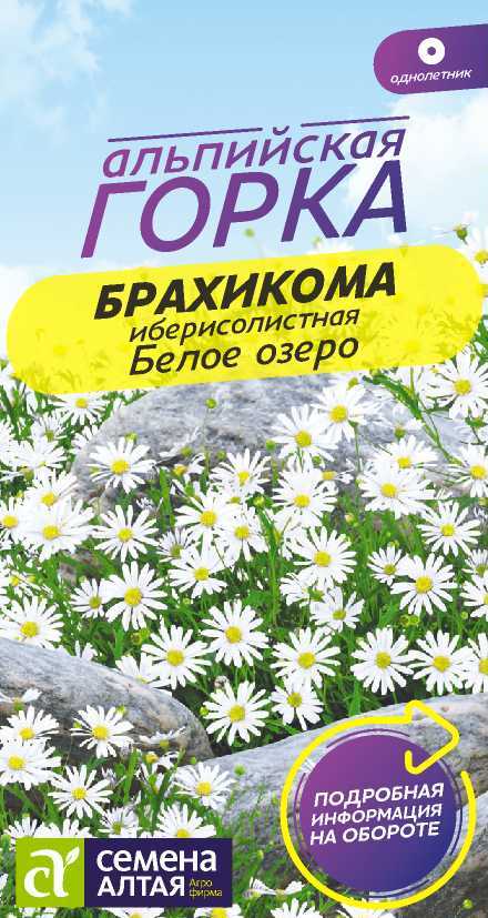 Брахикома Белое озеро