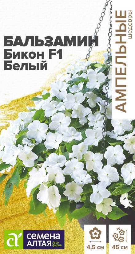 Бальзамин Бикон Белый