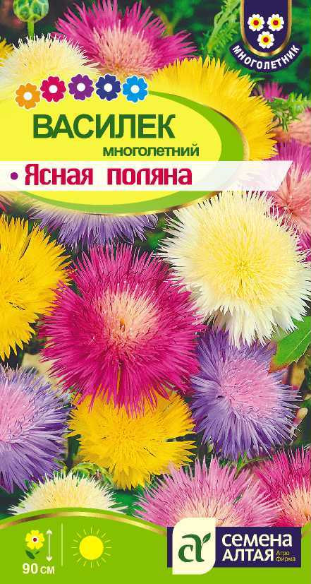 Василек Ясная поляна