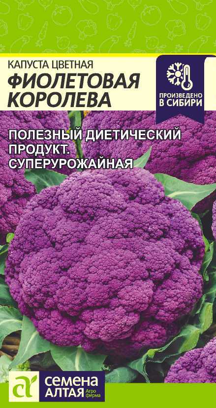 Капуста Фиолетовый король