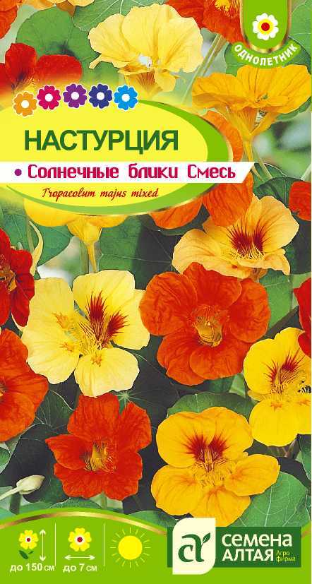 Солнечные блики цп