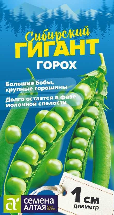 Сибирский гигант 2