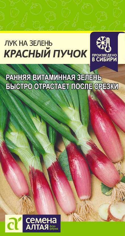 Красный пучок