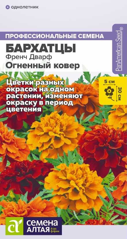 Бархатцы Френч Огн.ковер