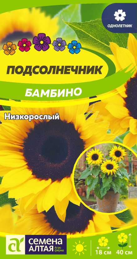 Подсолнечник Бамбино