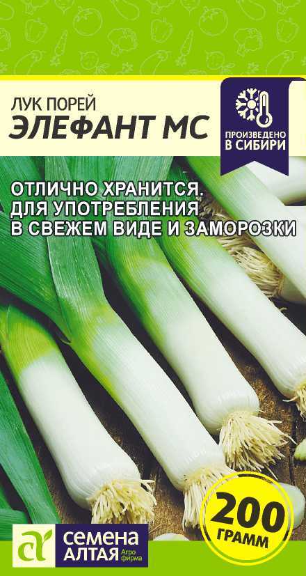 Порей Элефант