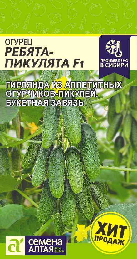 00-00024896