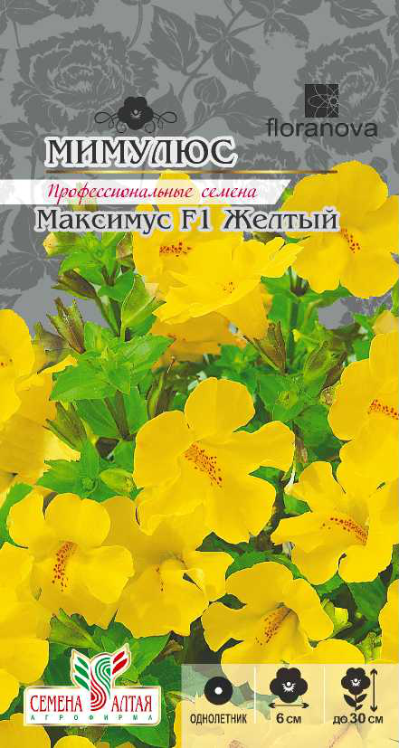 Мимулюс максимус желтый