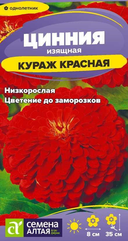 Цинния кураж красная