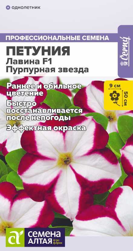 petuniya-lavina-purpurnya-zvezda