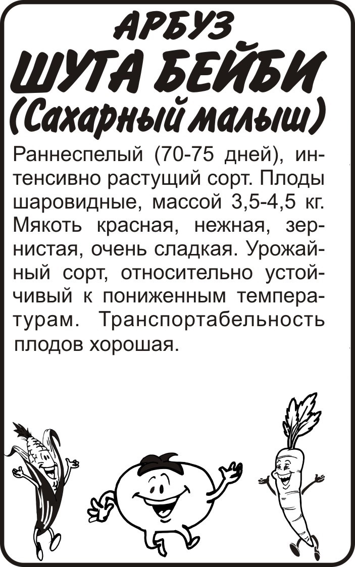 Шуга Бейби бп