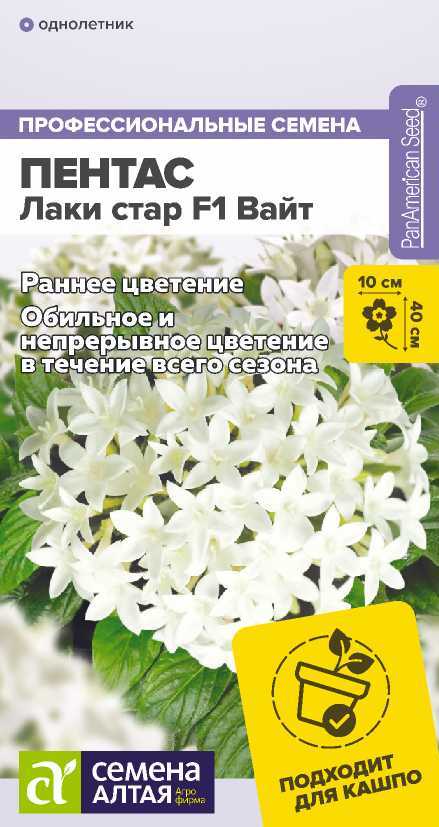 pentas-vait