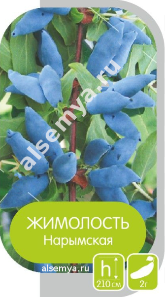 Нарымская