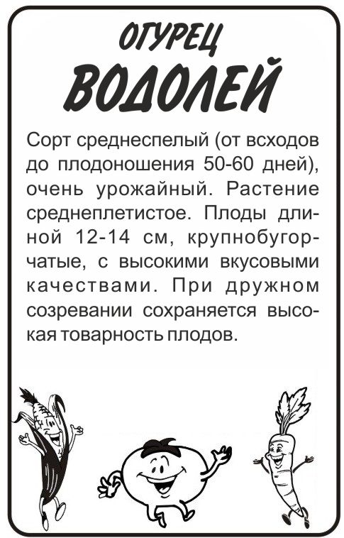 Водолей бп