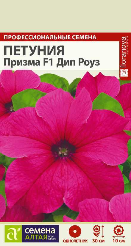 Петуния Призма Дип роуз
