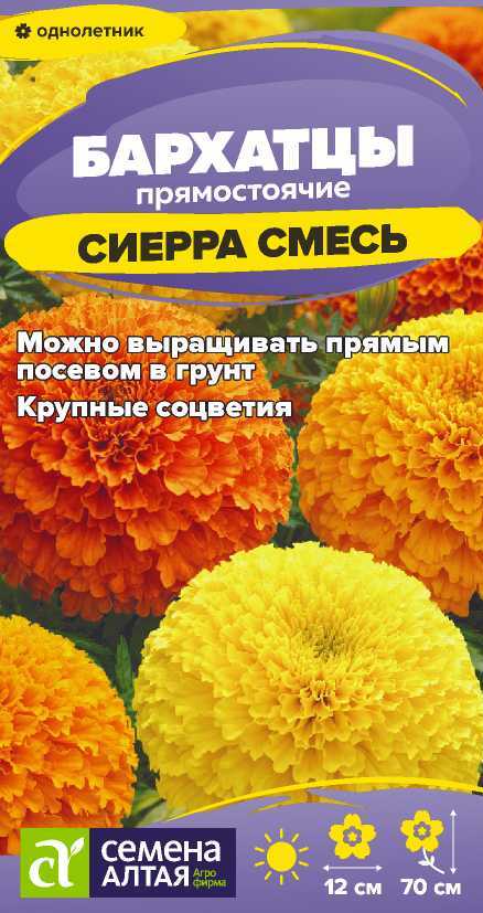 00-00034008