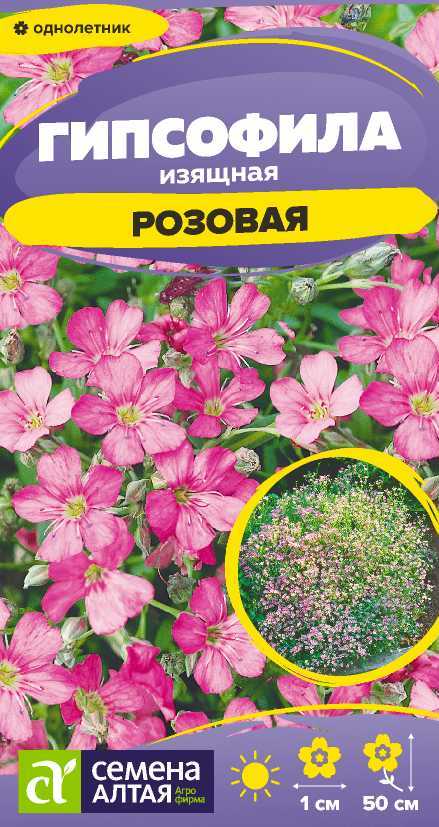 Гипсофила изящная розовая