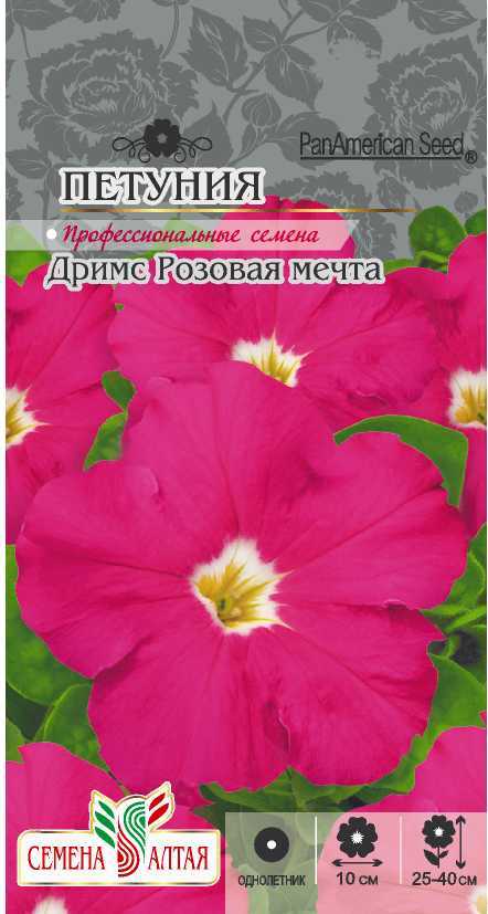 Дримс розовая мечта