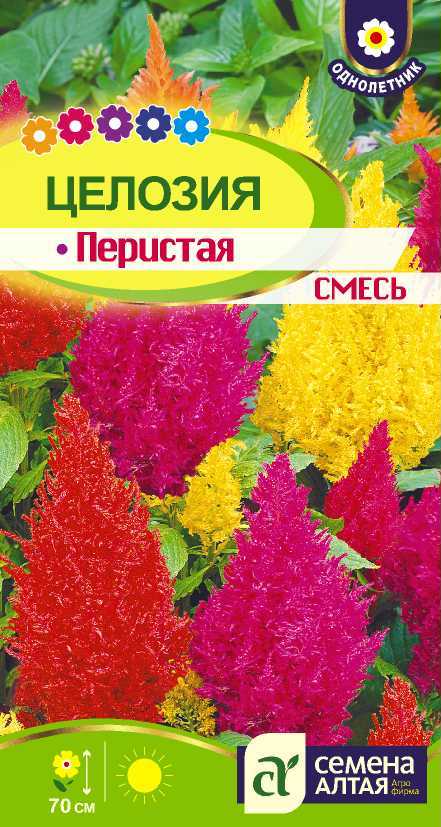 Целозия перистая смесь цп