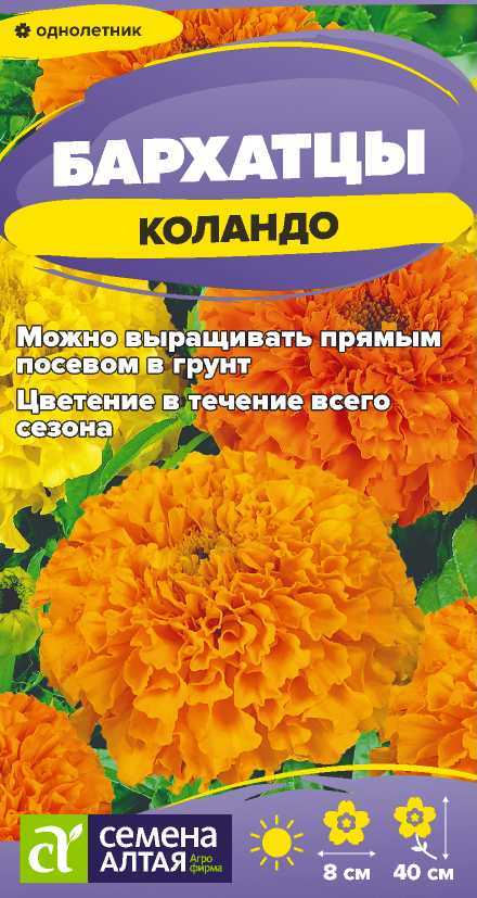 00-00033999