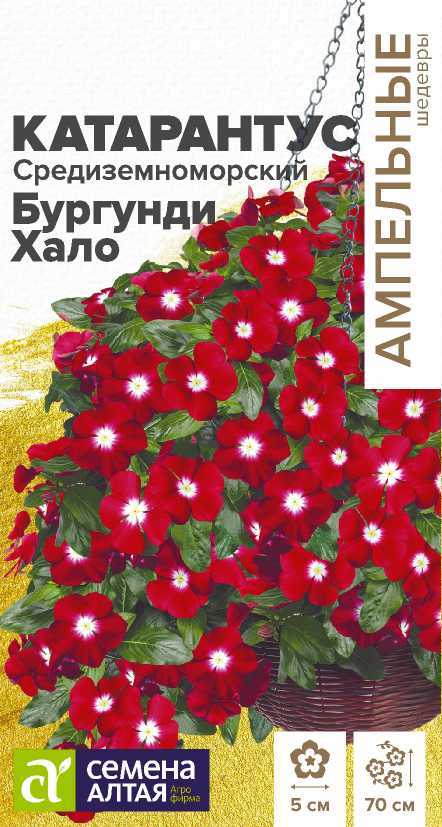 Катарантус Бургунди Хало
