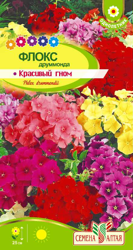 Красивый гном