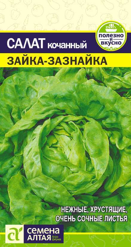 Салат Зайка зазнайка