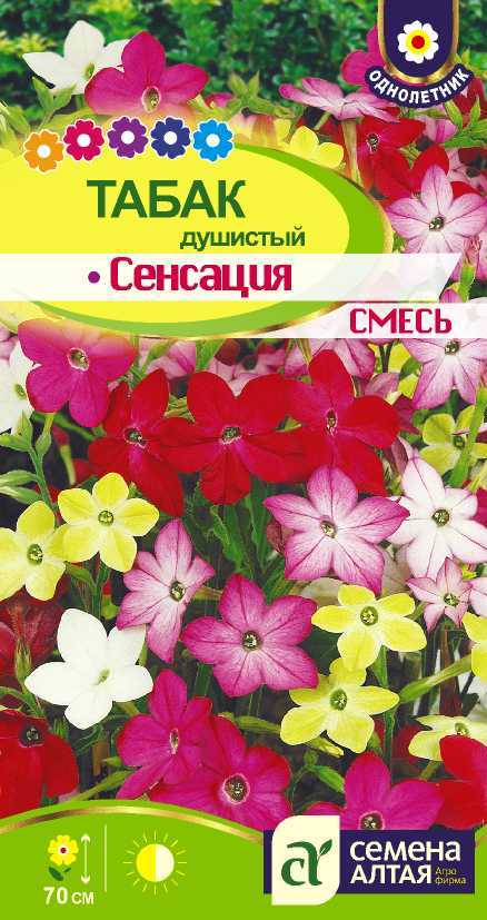 Табак сенсация цп