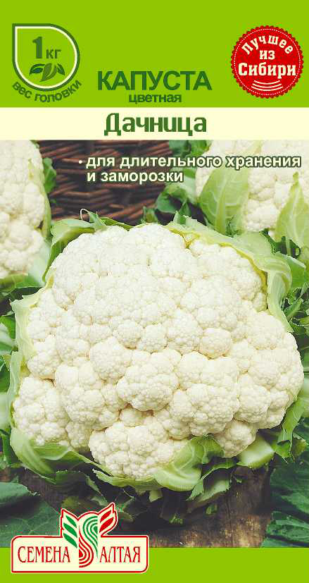 Цветная Дачница