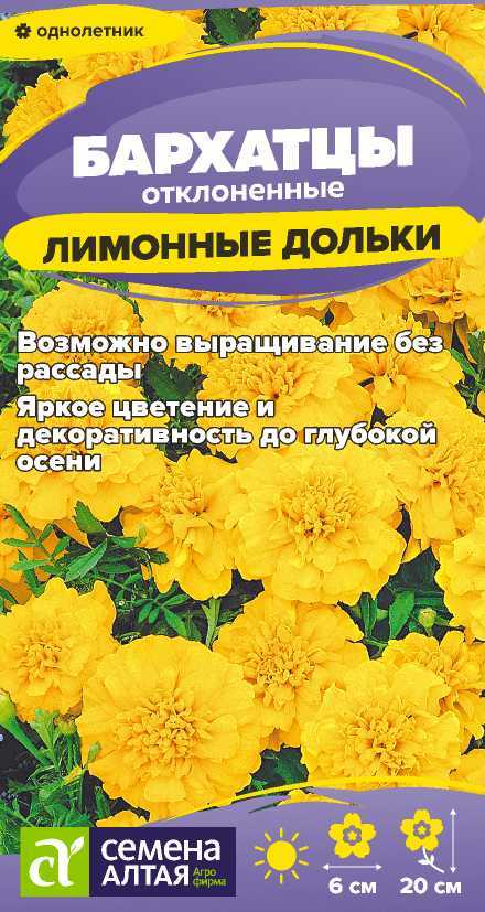 Бархатцы лимонные дольки