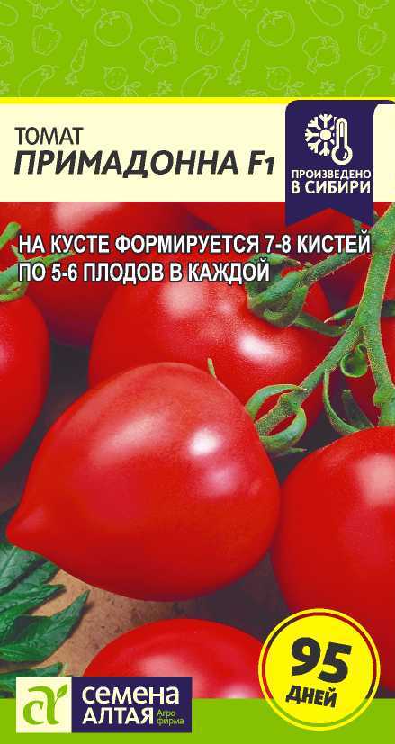 Примадонна цп