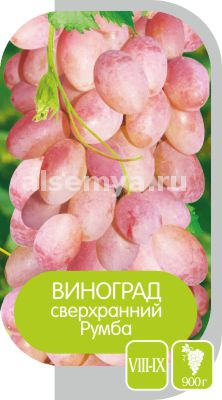 Румба2