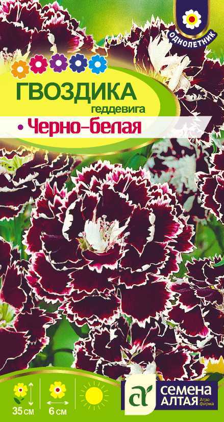 Черно-белая геддевига цп