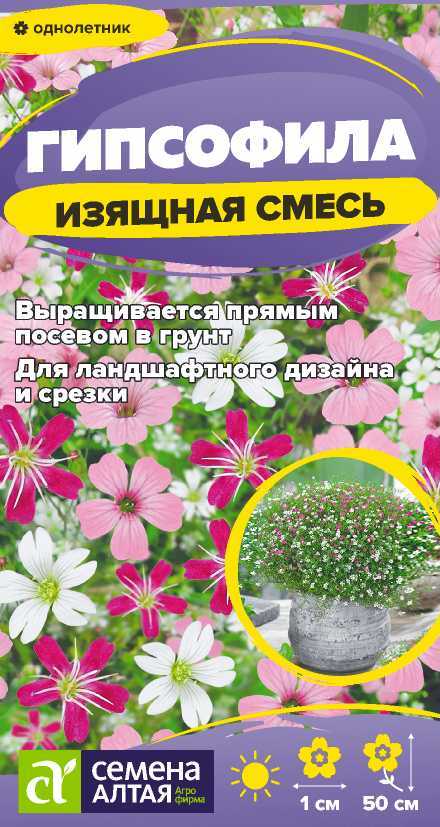 Гипсофила Изящная