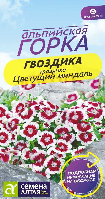 Гвоздика Цветущий миндаль