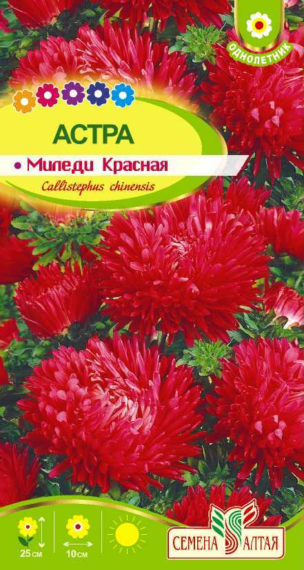 Миледи красная цп